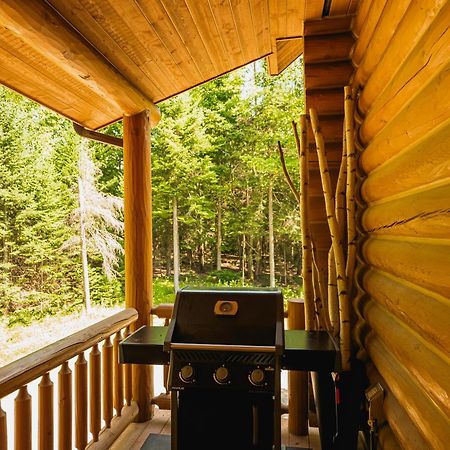 Fiddler Lake Resort Chalet 76 Deer Mille-Isles エクステリア 写真